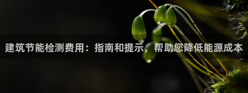 e尊国际-e尊国际官网：建筑节能检测费用：指南和提示，帮助您降低能源成本