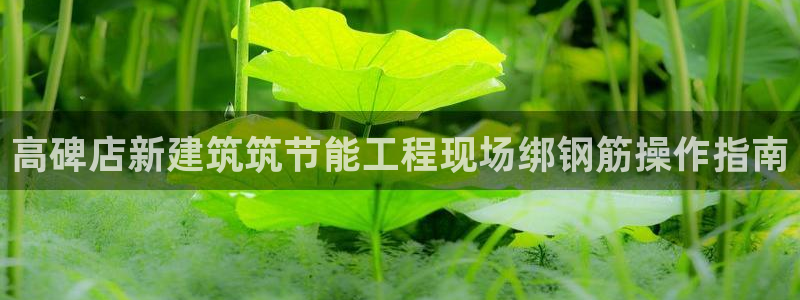 e尊国际的手机登录网站：高碑店新建筑筑节能工程现场绑钢筋操作指南