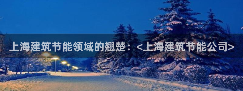 e尊国际可靠吗：上海建筑节能领域的翘楚：<上海建筑节能公司>