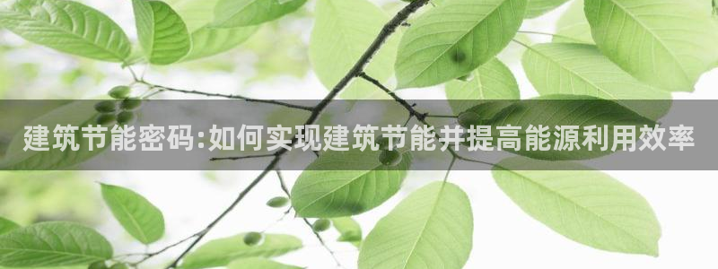 e尊国际网址：建筑节能密码:如何实现建筑节能并提高能源利用效率
