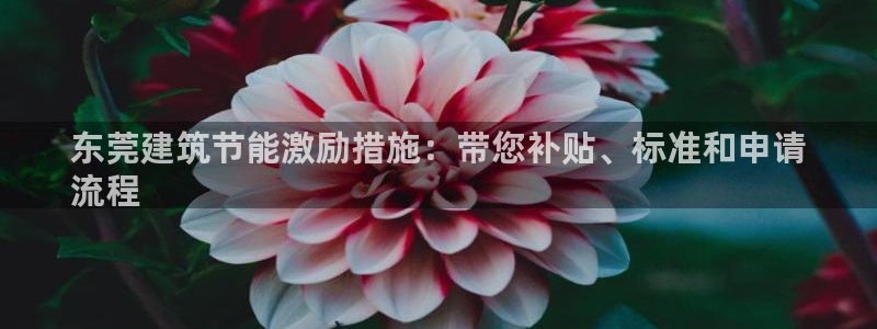 尊亿娱乐国际官网：东莞建筑节能激励措施：带您补贴、标准和申请
流程
