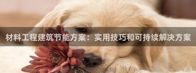 e尊国际娱乐官网地址：材料工程建筑节能方案：实用技巧和可持续解决方案