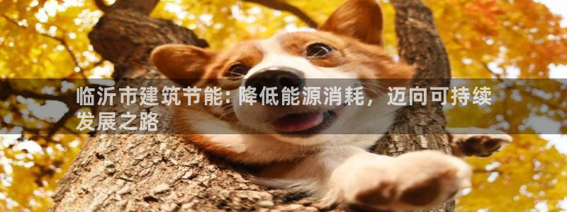 e尊国际-e尊国际官网：临沂市建筑节能: 降低能源消耗，迈向可持续
发展之路