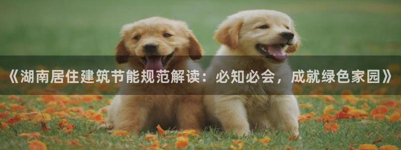 e尊国际平台：《湖南居住建筑节能规范解读：必知必会，成就绿色家园》