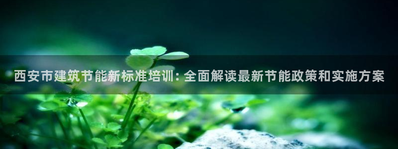 谁知道e尊国际的网址：西安市建筑节能新标准培训: 全面解读最新节能政策和实施方案