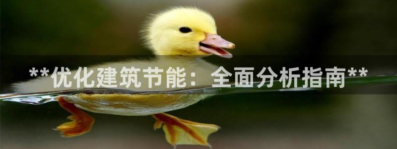 尊亿游戏国际官网：**优化建筑节能：全面分析指南**