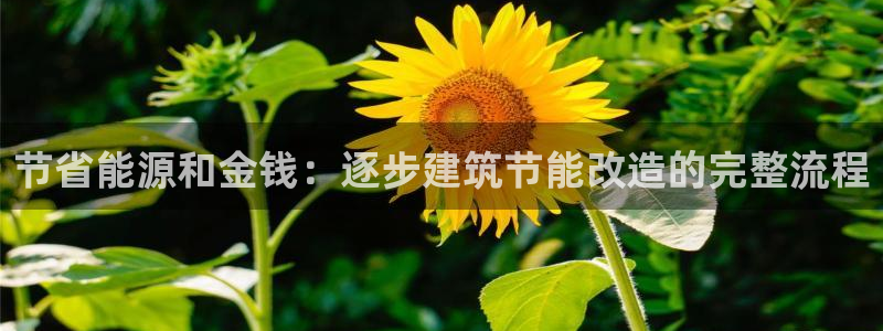 e尊国际官网·网址：节省能源和金钱：逐步建筑节能改造的完整流程
