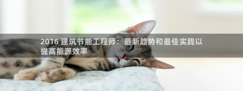 e尊国际平台
