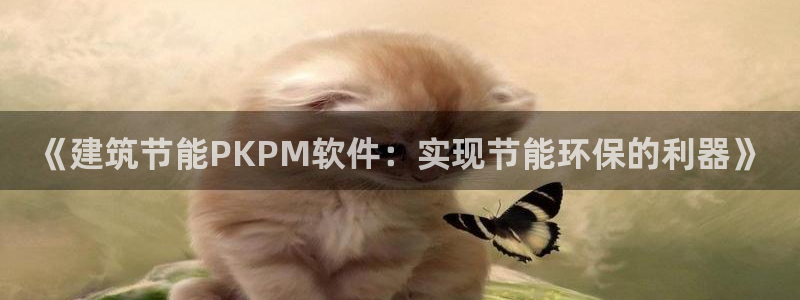e尊国际7779：《建筑节能PKPM软件：实现节能环保的利器》