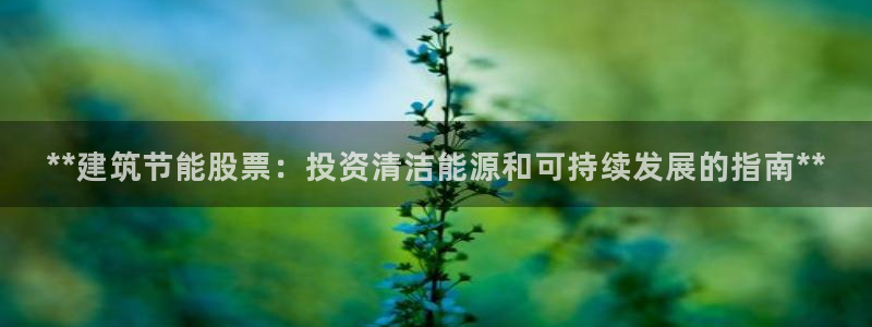 e尊国际娱乐官网下载：**建筑节能股票：投资清洁能源和可持续发展的指南**