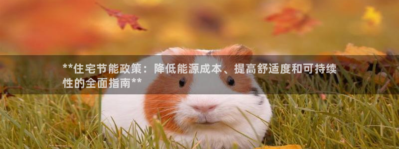 e尊国际可靠吗：**住宅节能政策：降低能源成本、提高舒适度和可持续
性的全面指南**