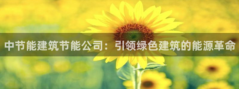 e尊国际-可可计划：中节能建筑节能公司：引领绿色建筑的能源革命