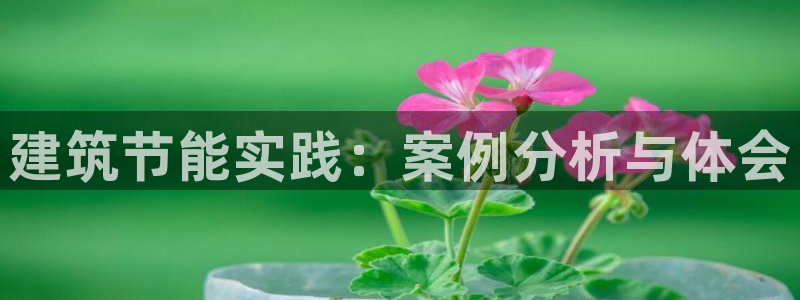 e尊国际的手机登录网站：建筑节能实践：案例分析与体会